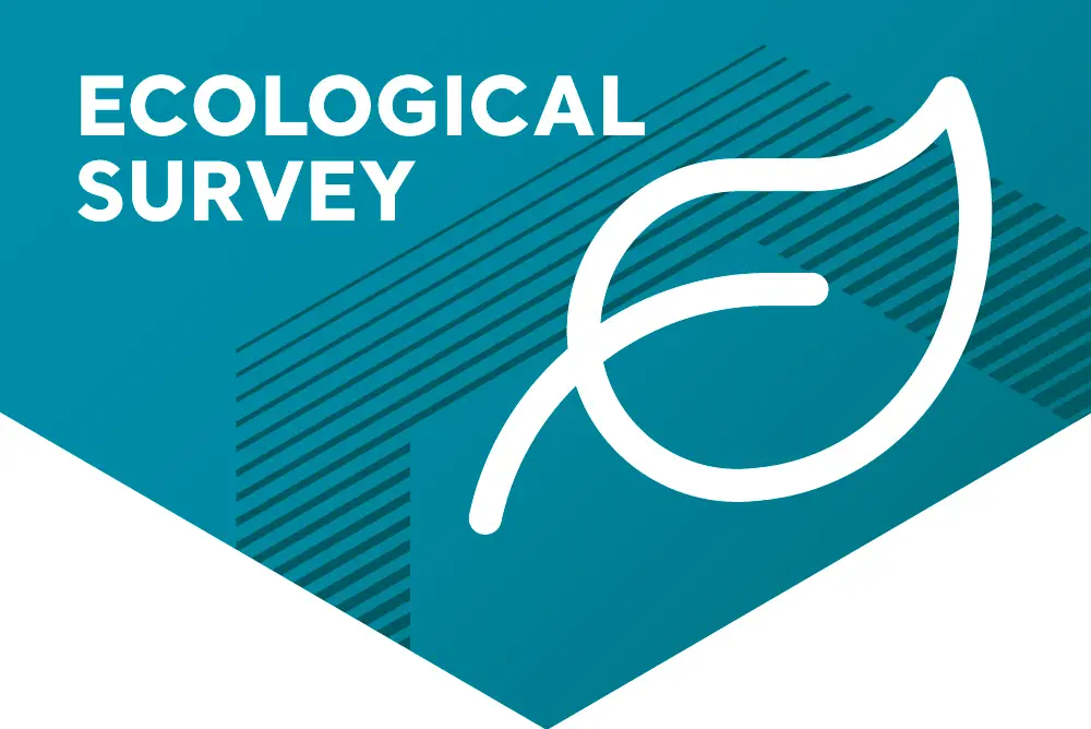 Ecological survey infographic with leaf icon