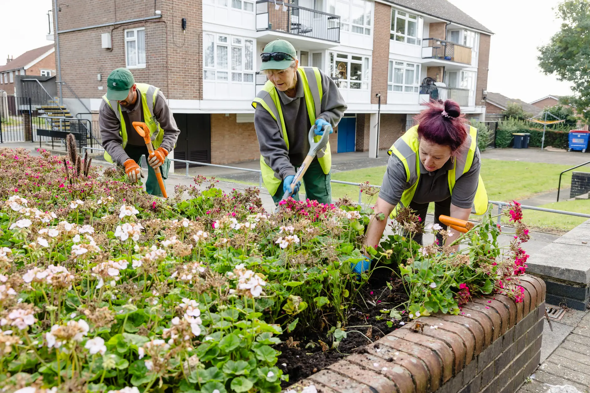 Three grounds workers planting a flower bed