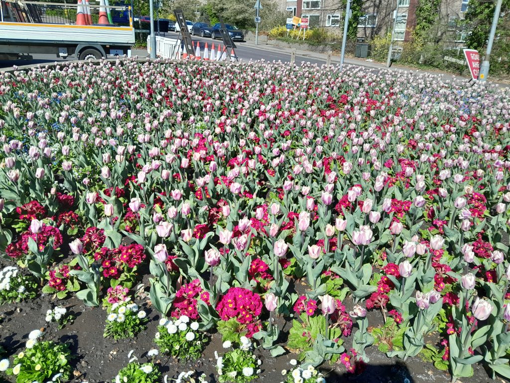 Spring flower display