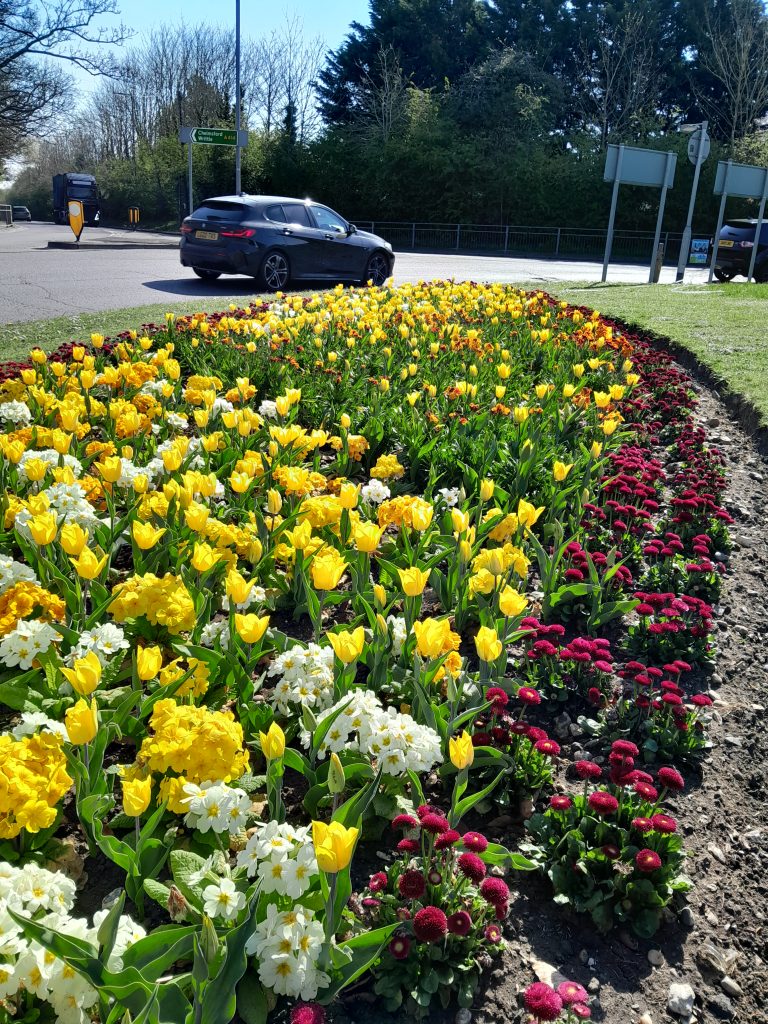 Spring flower display