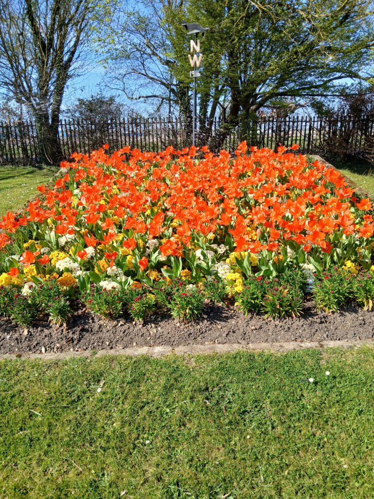 Spring flower display