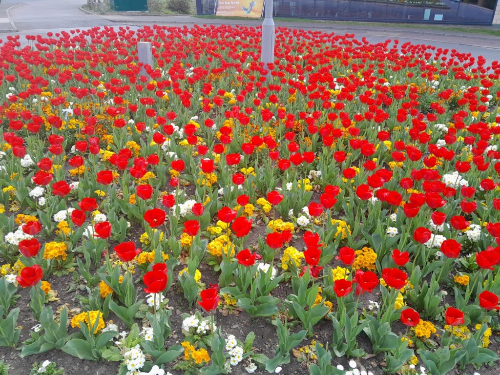 Spring flower display
